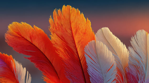 Colorful feathers showcase vibrant textures in a natural setting during twilight hours photo