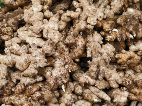 A large pile of fresh ginger roots with soil still attached, arranged in a market stall photo
