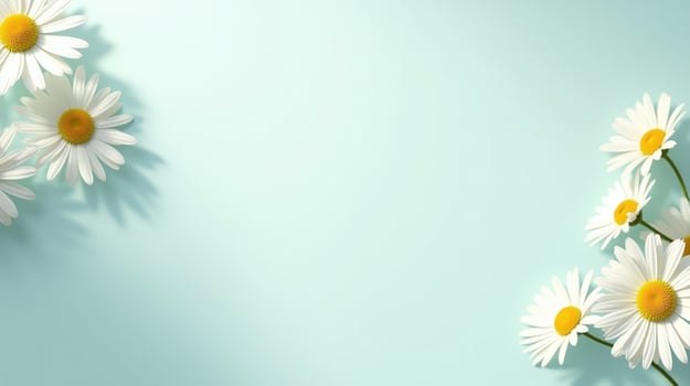 White daisies against a soft blue background, evoking tranquility and serenity. photo