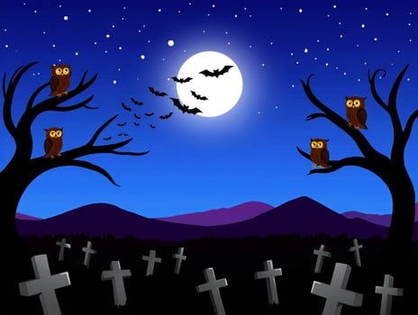 Halloween Background Spooky Halloween Night Scene Owls Bats Graveyard Full Moon photo