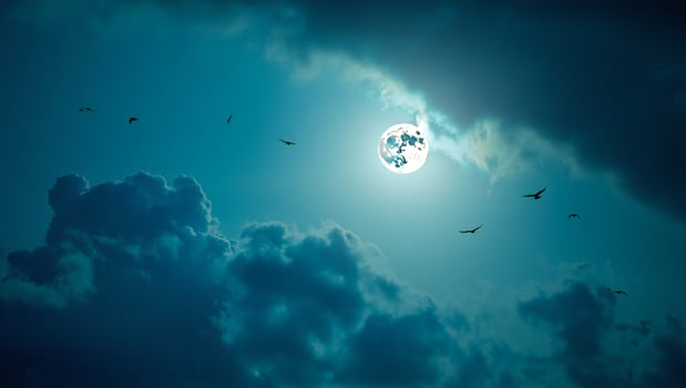 Halloween Background Night Sky Scene Full Moon Birds in Flight Dramatic Cloudscape photo