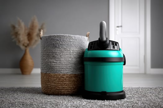 Vacuum cleaner displayed beside woven basket in stylish indoor setting photo