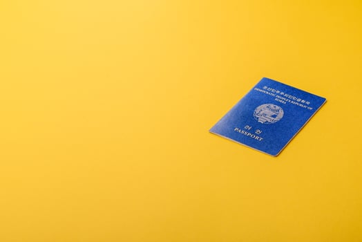 North Korean International Passport for Global Business photo