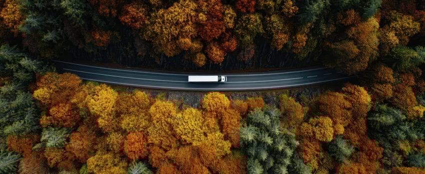 The Truck Driving Through Vibrant Autumn Forest Along a Winding Road photo