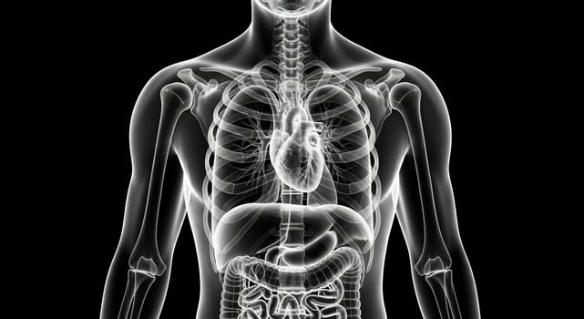 The human body is shown in a black and white image photo