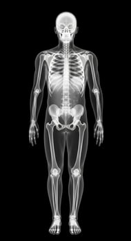 A human skeleton is shown in a black background photo