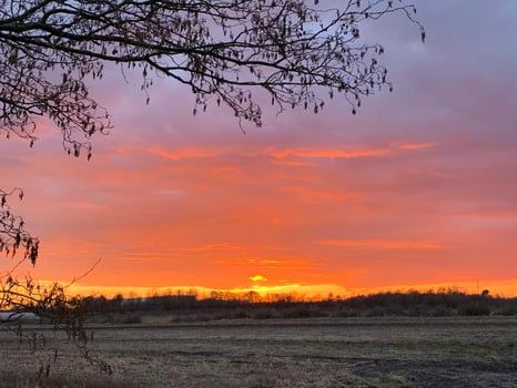 Serene Sunset Over a Field photo