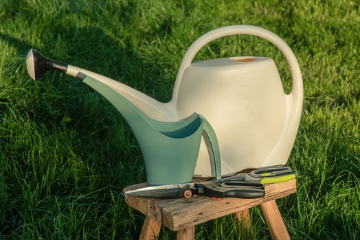 Watering can, watering can, garden shears and pruners on a wooden bench on the grass. Garden tools photo