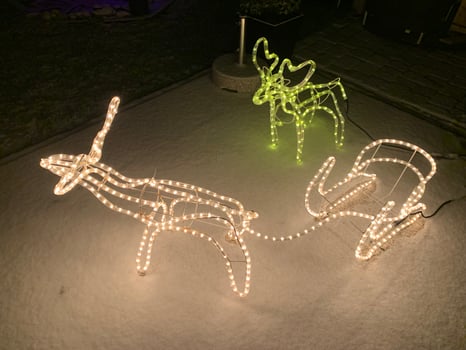 Illuminated Reindeer Decorations in Snow photo