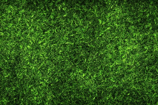 green grass background photo