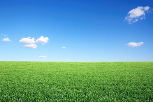 Expansive green field under a vibrant blue sky photo