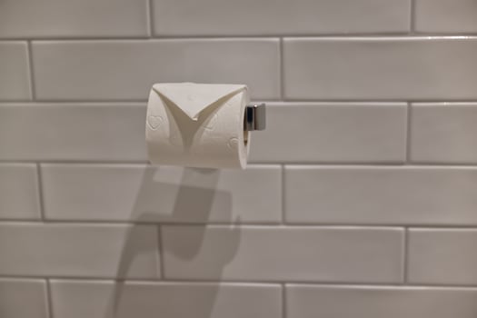 Modern Bathroom with Toilet Paper Roll photo