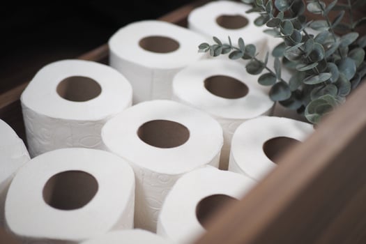 Toilet paper rolls in a wooden holder with plants photo