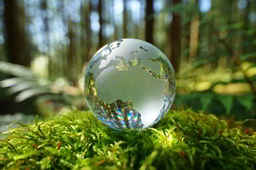 Nature Background Glass Globe on Moss in Forest Environmental Conservation Eco Friendly Nature photo