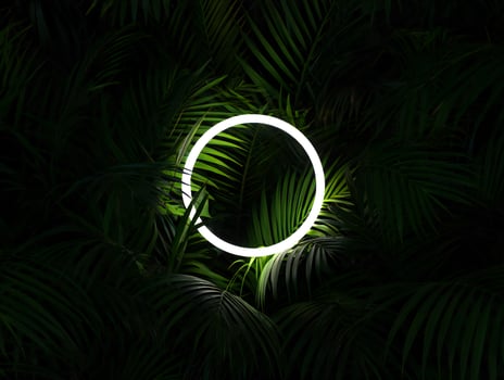 Nature Background Glowing Neon Circle Frame in Lush Tropical Palm Leaves Dark Green Foliage Background photo