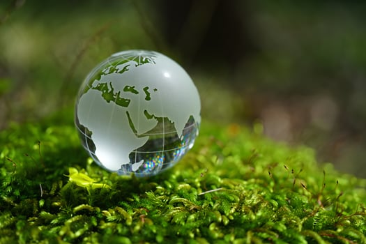 Nature Background Glass Globe Earth on Lush Green Moss Environmental Conservation Concept photo