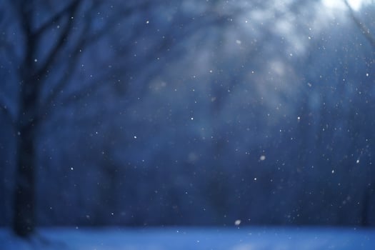 Nature Background Serene Winter Scene Falling Snowflakes Against Blurred Trees photo