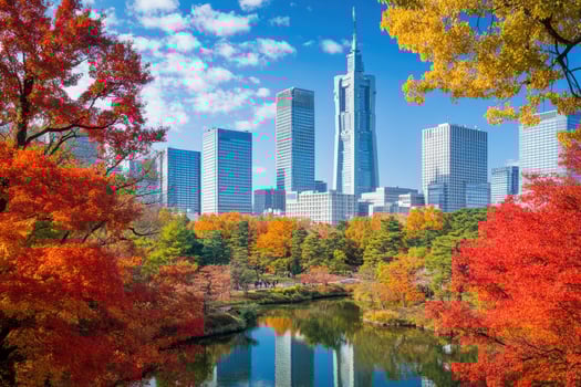 Autumnal cityscape reflected in tranquil park photo