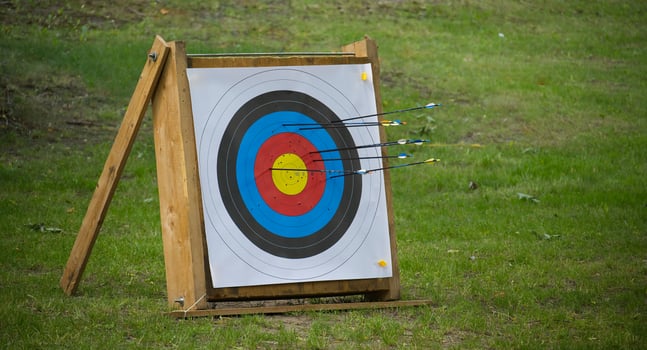 Archery Target With Arrows Outdoors on a Wooden Frame in a Green Field photo
