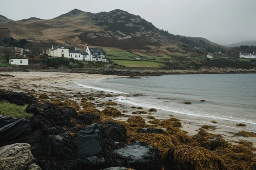 Coastal village scene on an overcast day photo