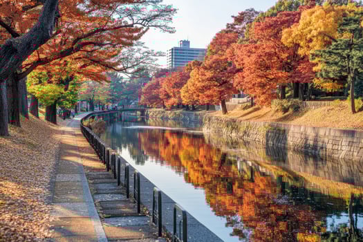 Autumnal canal reflecting vibrant foliage photo
