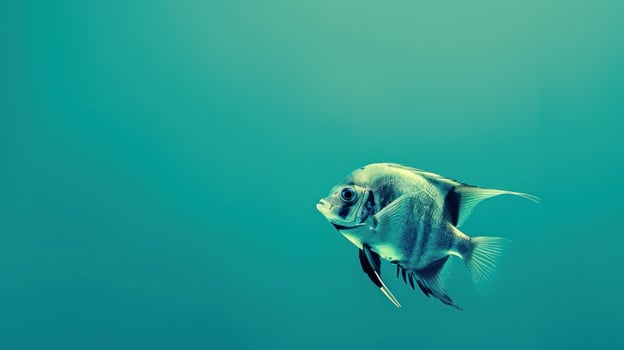 Beautiful Tropical Fish Swimming in Clear Aqua Water with Minimalist Background and Copy Space, Underwater Marine Life Photography, Ocean Wildlife and Nature Concept photo