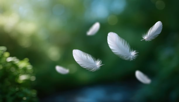 Delicate white feathers floating in sunlight over a serene natural stream photo