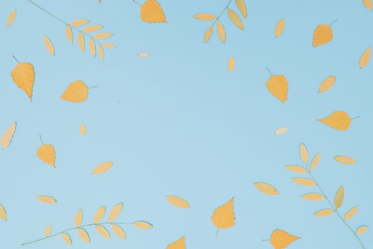 Autumnal yellow leaves abstract on blue. Flat lay, top view photo