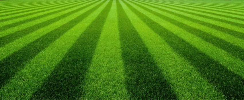 The vibrant green lawn with striped patterns creating a scenic outdoor landscape. photo