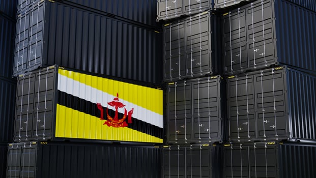 Cargo shipping container with brunei flag, shipping and freight transportation of brunei concept. photo