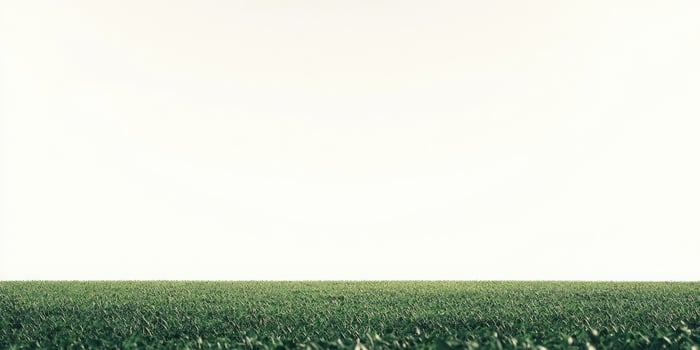 Vast field of green vegetation under a clear sky photo