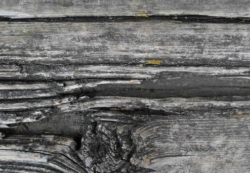 weathered grey brown wood texture background photo