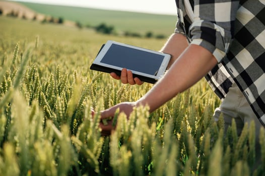 With ,digital, tablet, quality control. Man in white shirt is on the agricultural field photo