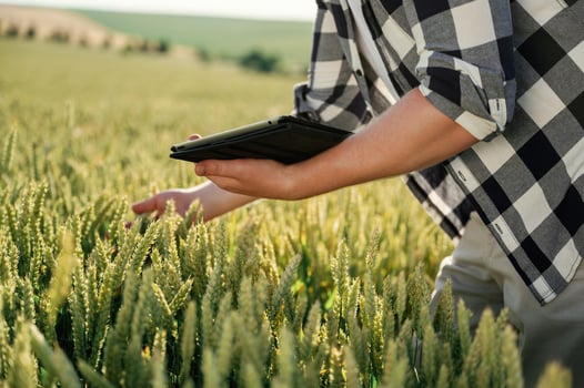 With, digital tablet, quality control. Man in white shirt is on the agricultural field photo