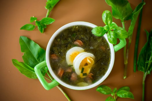 Traditional Ukrainian sorrel borscht with egg . photo