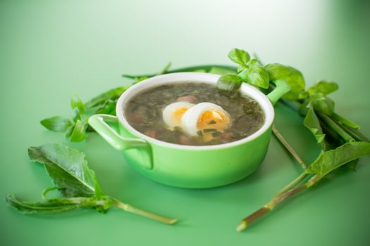 Ukrainian dish borscht with greens and egg on a pastel background photo
