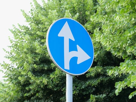 direction arrow sign go ahead or turn right photo