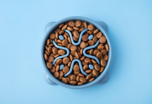 Cat and dog blue slow Feeding Bowl on blue photo