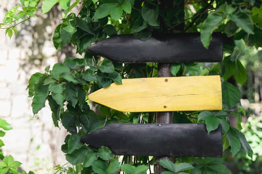 Colorful wooden signpost surrounded by green foliage in a serene outdoor setting photo