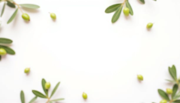 Olive branch frame with green leaves on white background photo