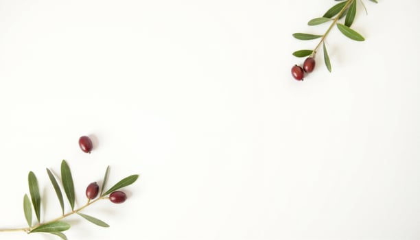 Olives and leaves on white background photo
