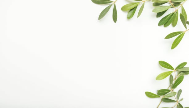 Green leaves on white background with copy space photo