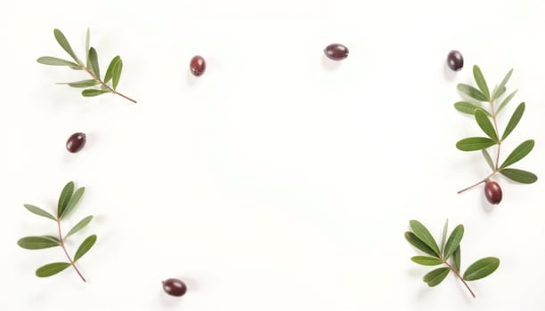Olives and leaves on a white background photo