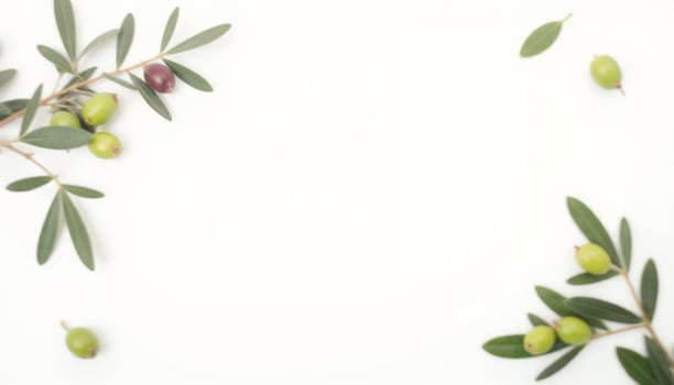Olives on a white background photo