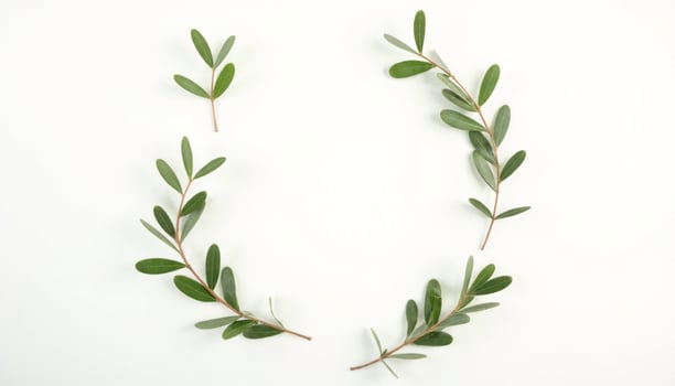 Green leaves arranged in the shape of a letter c photo