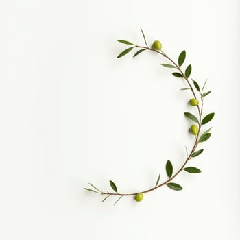 A wreath of green leaves and berries on a white background photo