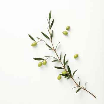 Olive branch with green olives on white background top view photo