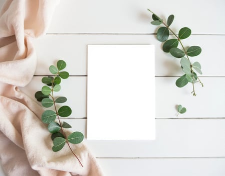 Blank white paper with eucalyptus leaves on a white wooden background photo