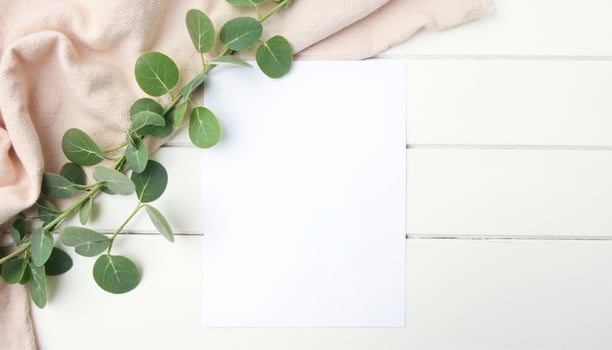 Blank paper and eucalyptus leaves on white wooden background photo