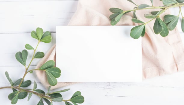 Blank white paper with green leaves on white wooden background photo